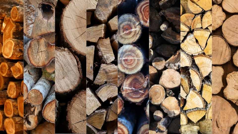 jenis kayu indonesia dengan daerah penghasilnya