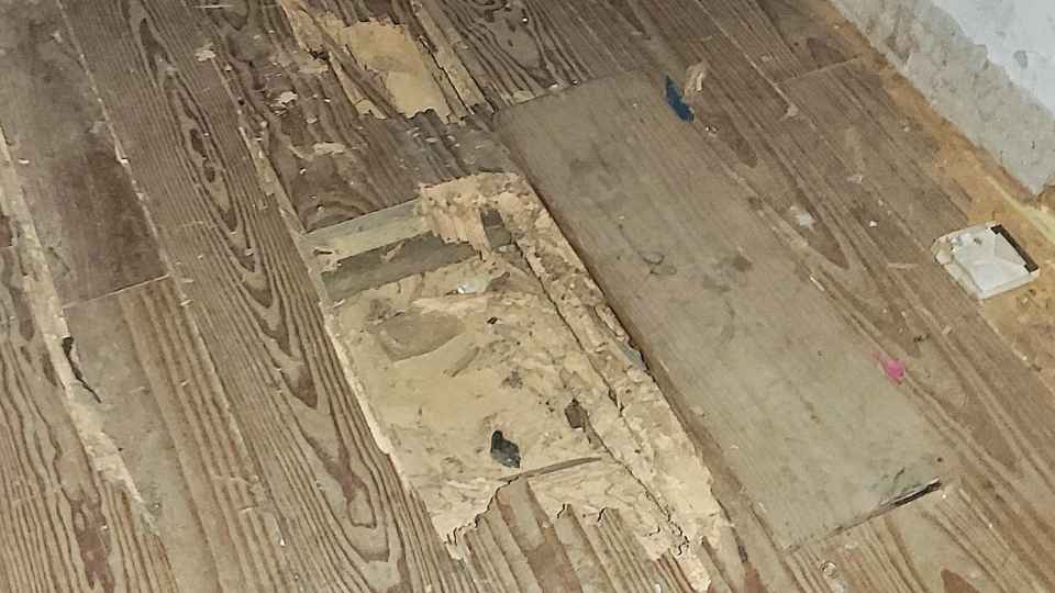 Cairan anti rayap lantai kayu